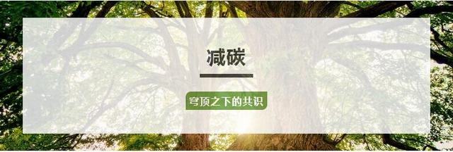 巴德富科技
