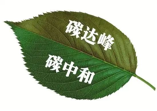 巴德富科技